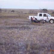 Picnic in the Desert